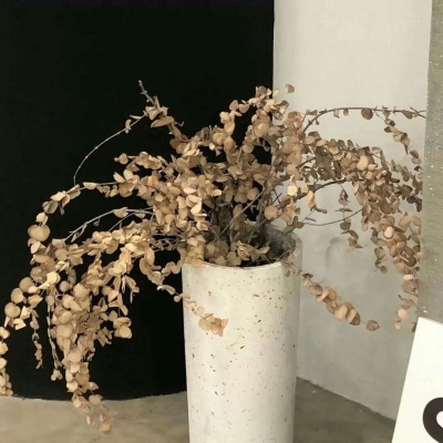 Furry插画细节灵感兽圈社群